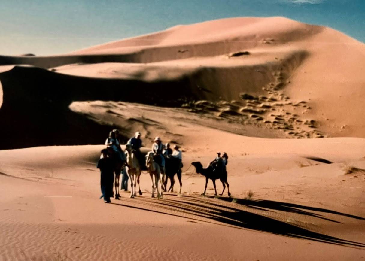 Morocco Kasbahs and Valleys Tour Tour Image 6 6