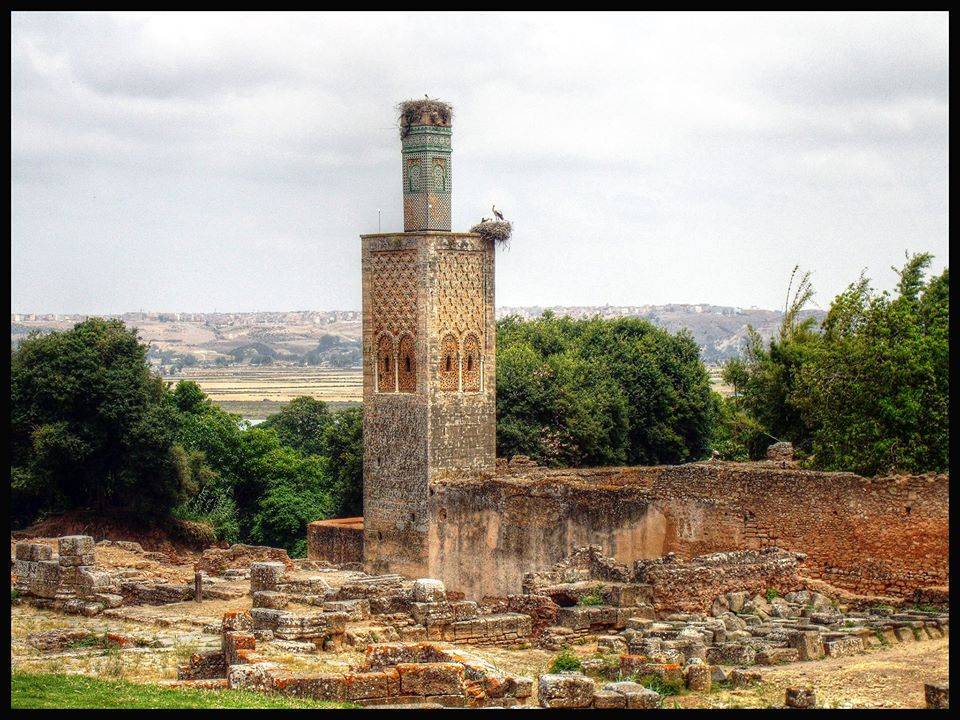 Marrakech express Tour Tour Image 5 5