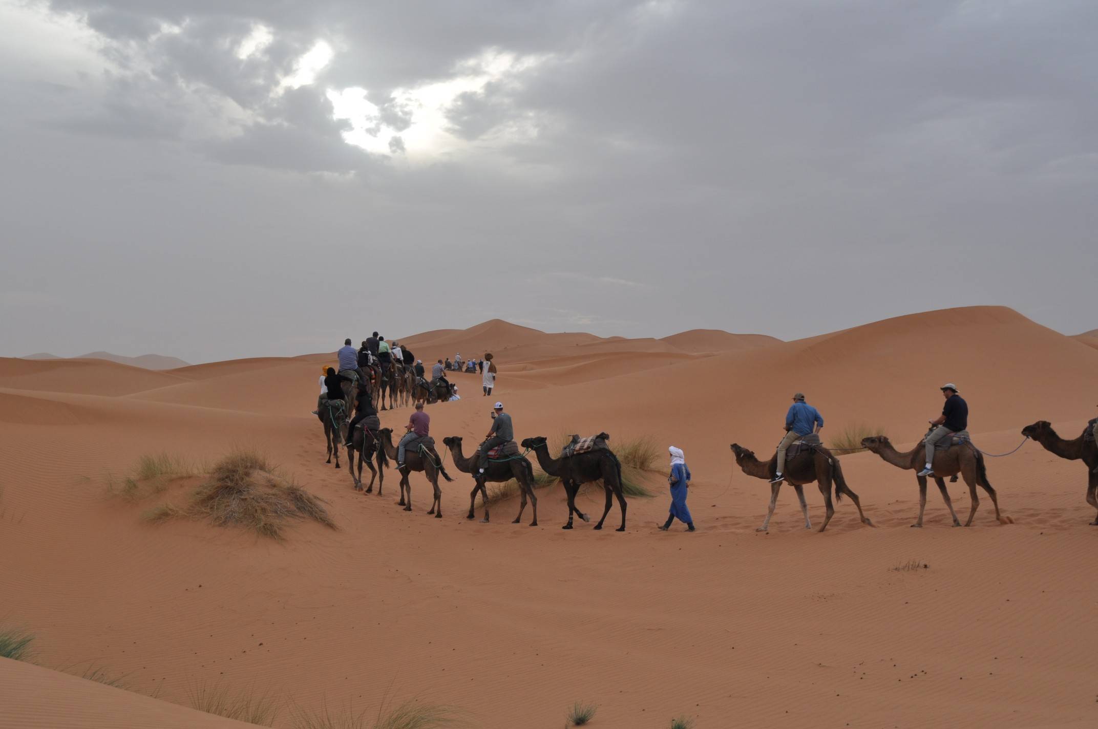 Overland Active Tour from Marrakech to Dakar Tour Image 5 5