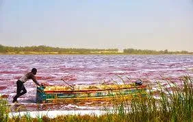 Senegal and Gambia Adventure Tour Tour Image 5 5