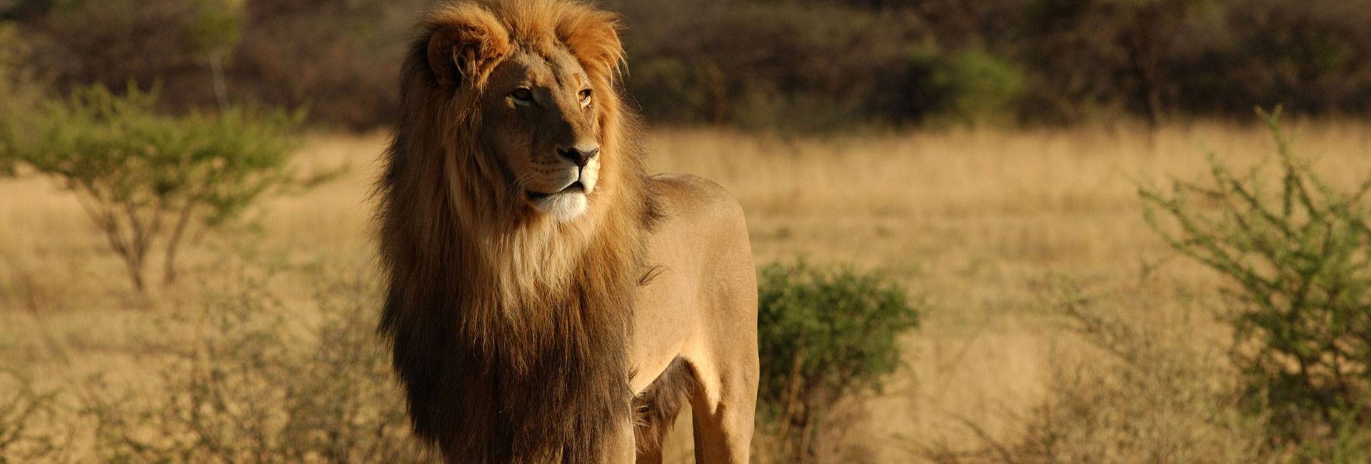Kenya Tours and Safari Tour Image 2 2