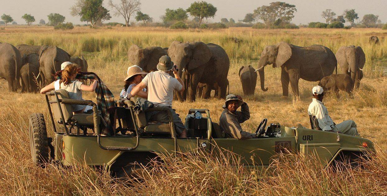 Kenya Tours and Safari Tour Image 4 4