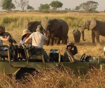 Kenya Luxury Safari Tour Image 7 7