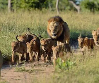 Kenya and Tanzania Tour Tour Image 6 6