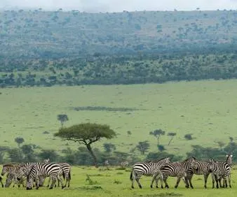 Kenya and Tanzania Tour Tour Image 5 5