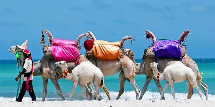 Tunisia