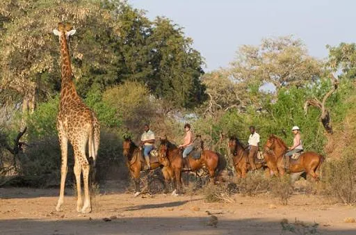 South Africa Luxury Tours Tour Image 7 7