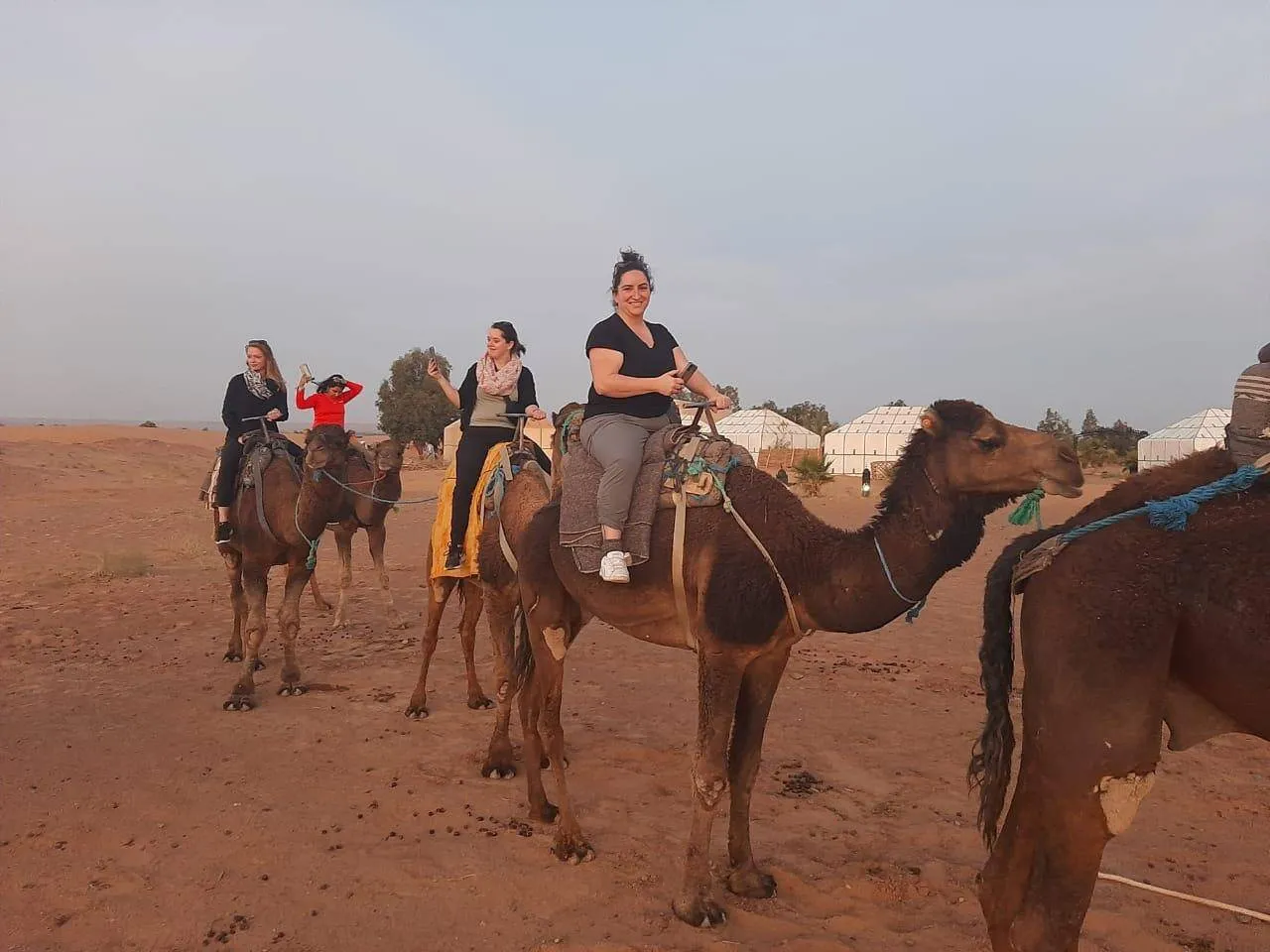 Agriculture and Farming in Morocco Tour Tour Image 6 6