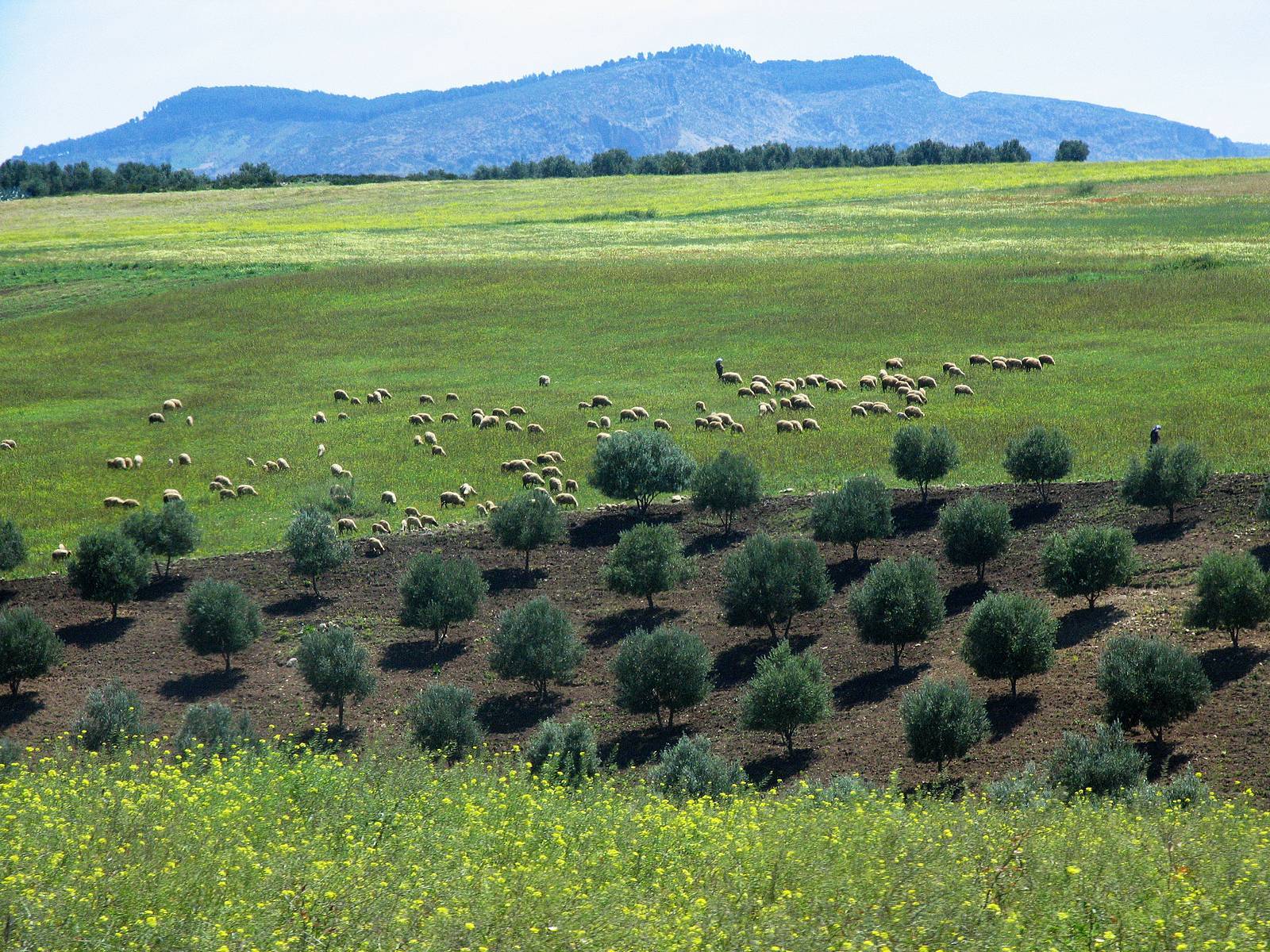 Tour Image