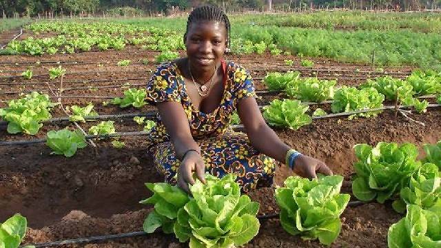 Senegal Agriculture Tour Tour Image 5 5