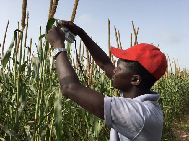 Senegal Agriculture Tour Tour Image 6 6