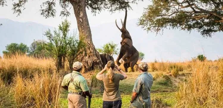Zimbabwe Cultural and Adventure Tour Tour Image 4 4