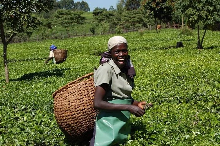 Zimbabwe Cultural and Adventure Tour Tour Image 3 3