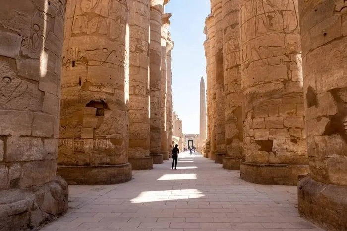 Trip Image