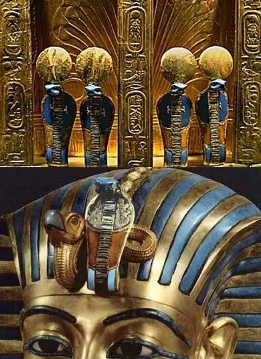 Egypt Active Tour Tour Image 3 3