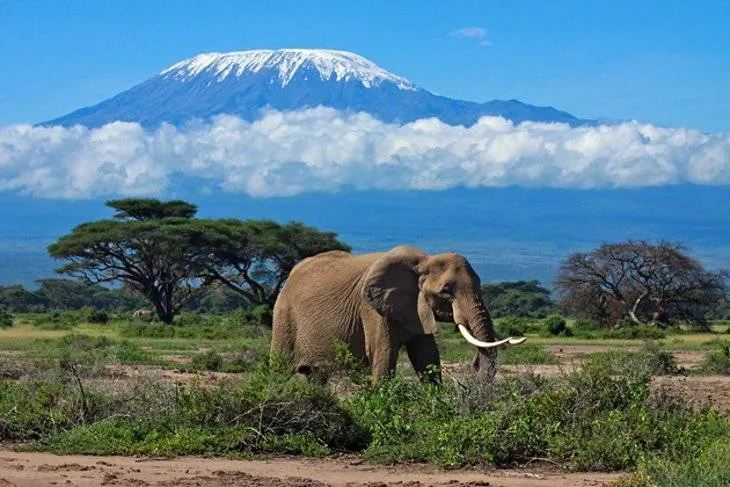 Tanzania Discovery Tour Tour Image 5 5