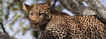 Tanzania Discovery Tour Tour Image 3 3