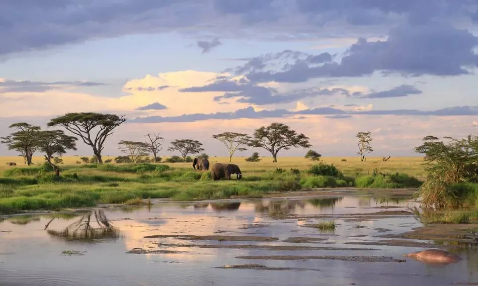 Tanzania Classic Safari Tour Image 7 7