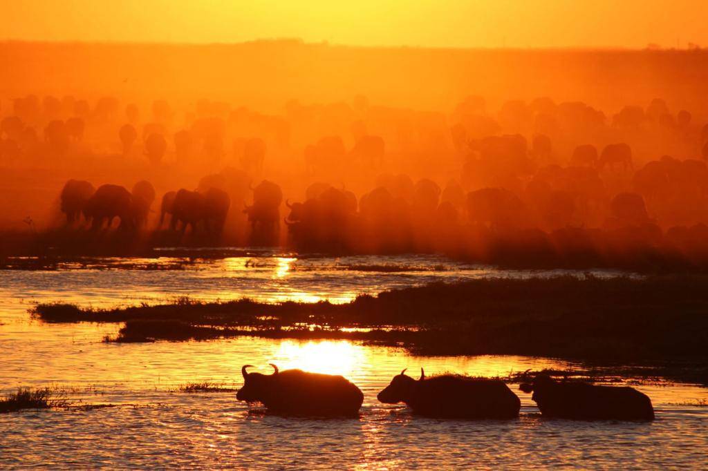 Tanzania Classic Safari Tour Image 5 5