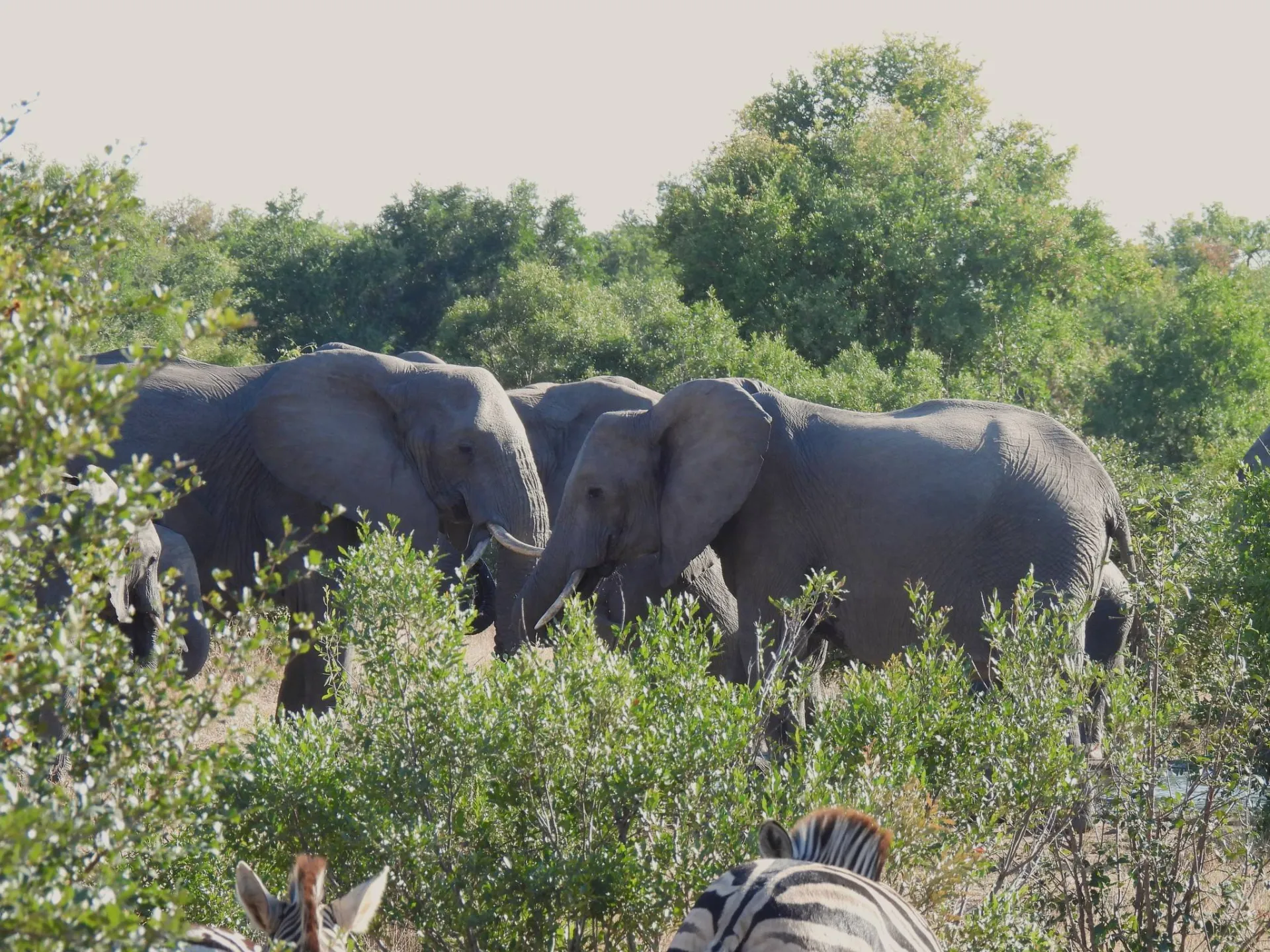 South Africa Safari and Tour Tour Image 7 7