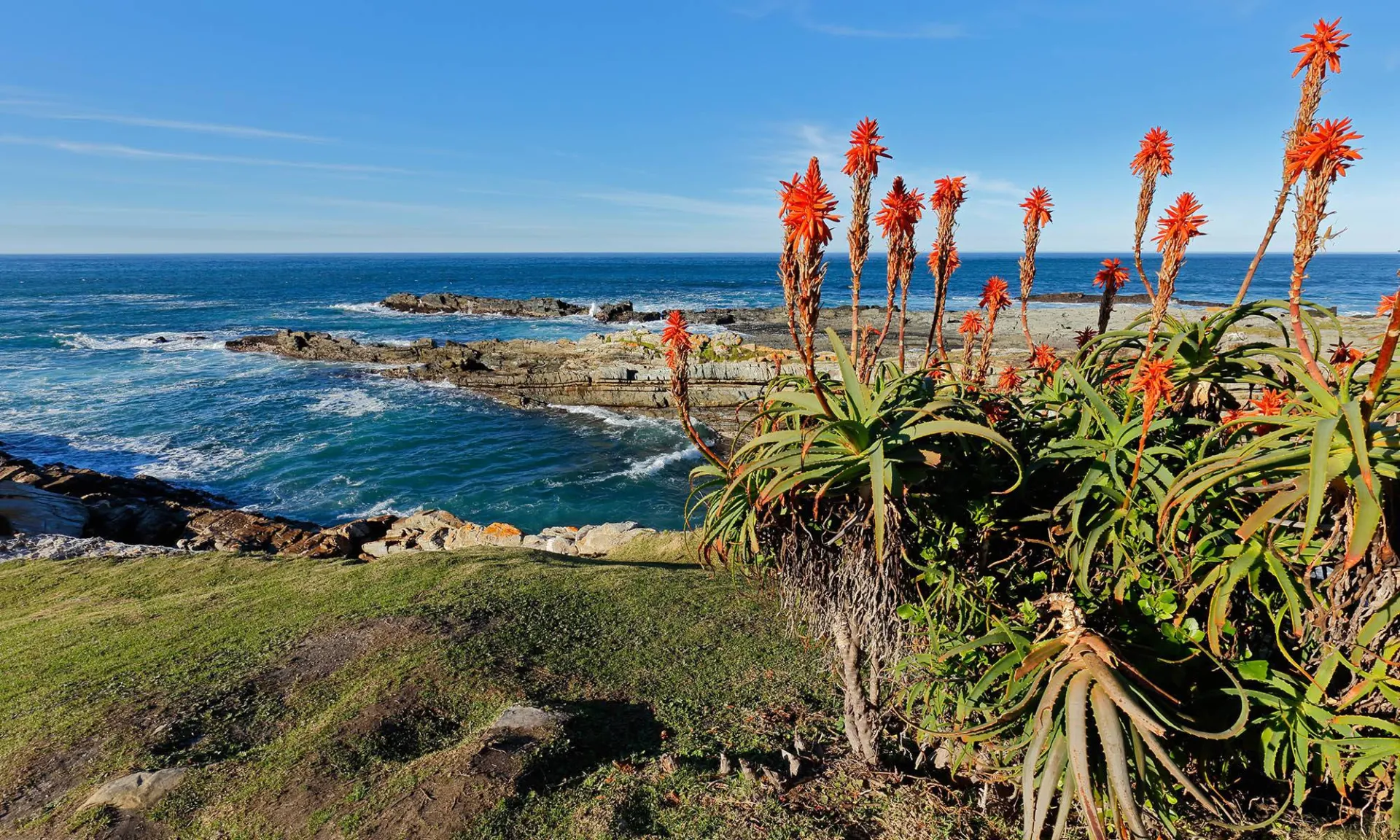 South Africa Luxury Tour and Safari Tour Image 7 7