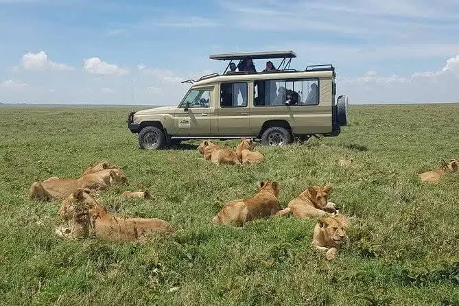 South Africa Luxury Tour and Safari Tour Image 5 5