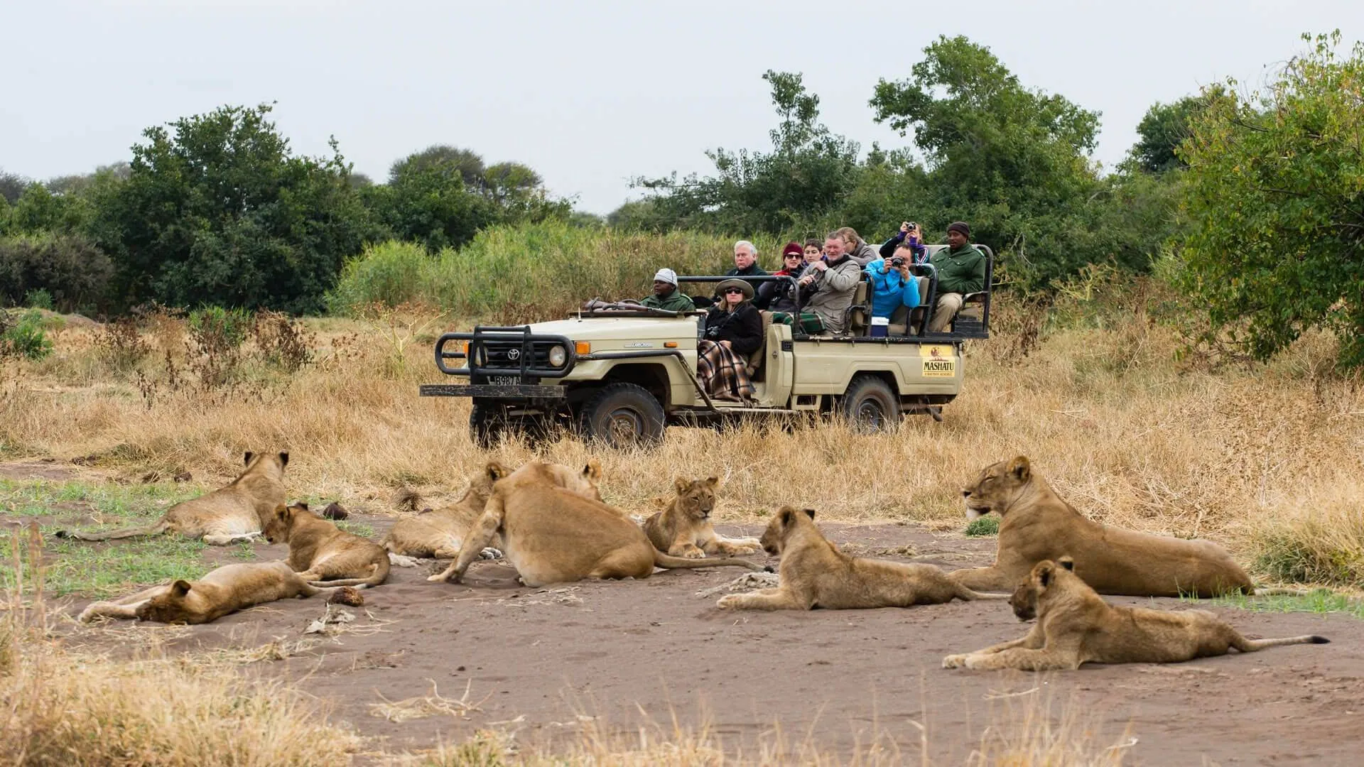 South Africa Luxury Tour and Safari Tour Image 3 3