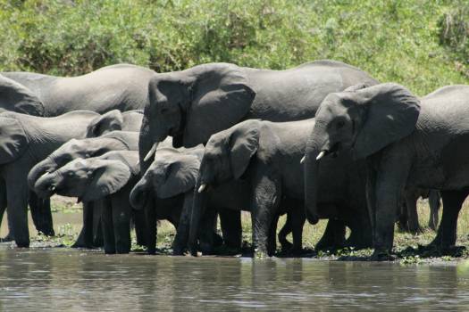 Zambia Active Expedition Tour Image 3 3