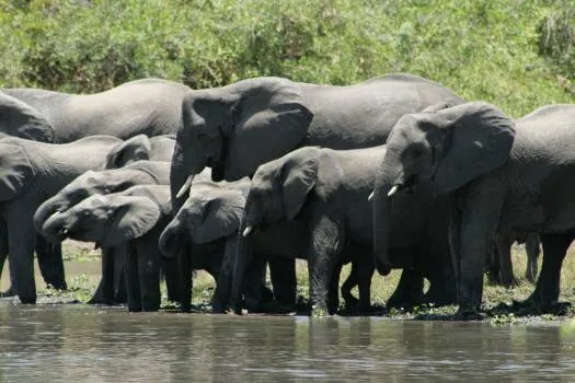 Zambia Active Expedition Tour Image 6 6