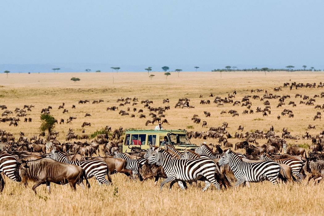 Zambia Active Expedition Tour Image 4 4