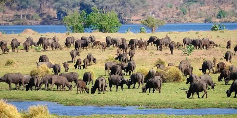 Zambia Active Expedition Tour Image 6 6