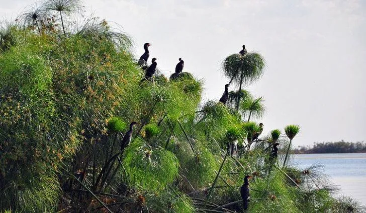Zambia Active Expedition Tour Image 2 2