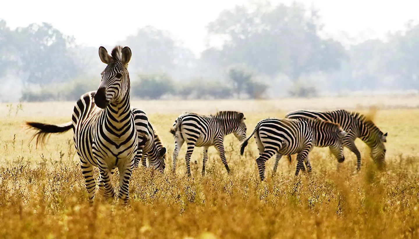 Zambia Grand Tour and Safari Tour Image 5 5