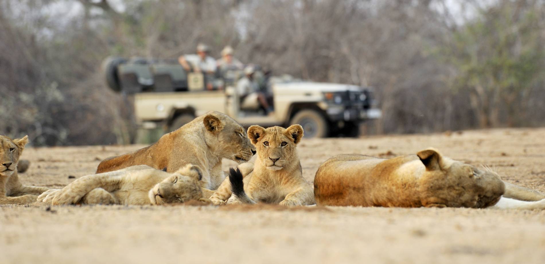 Zambia Grand Tour and Safari Tour Image 7 7