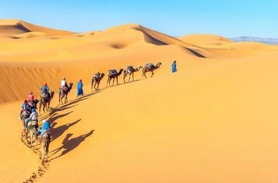 Tunisia History Tour Tour Image 4 4
