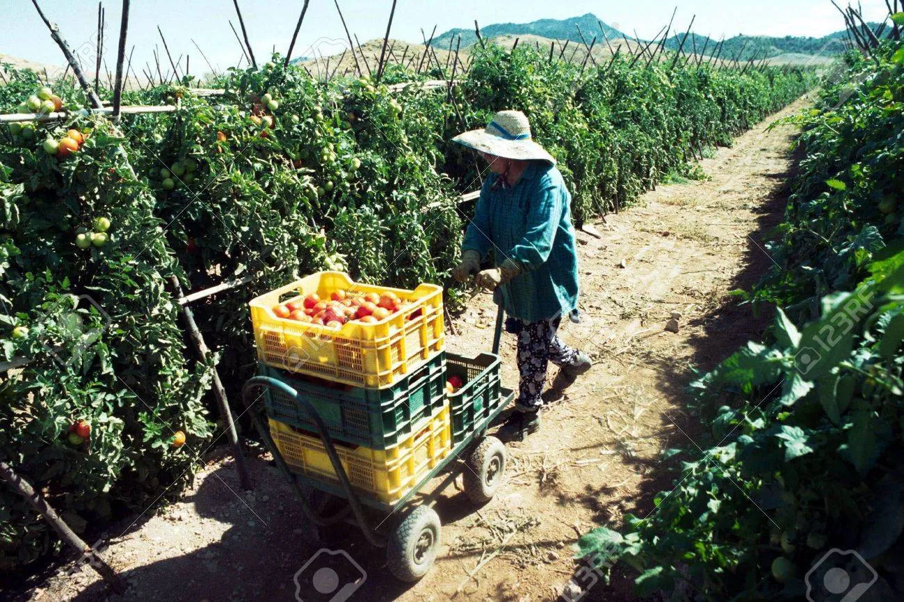 Spain Agriculture Tour Tour Image 7 7