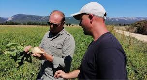 Spain Agriculture Tour Tour Image 4 4