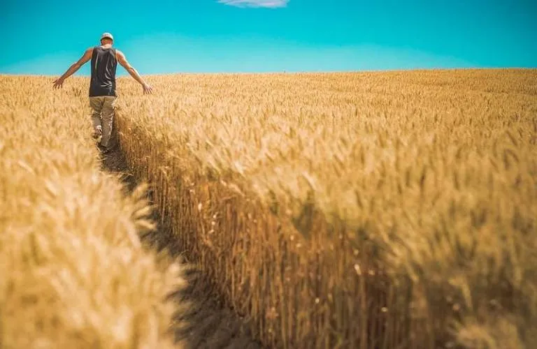 Spain Agriculture Tour Tour Image 3 3