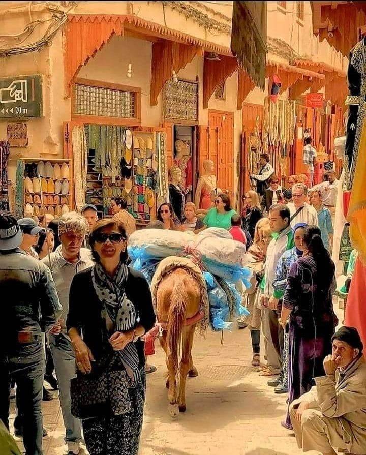 Marrakech express Tour Tour Image 5 5