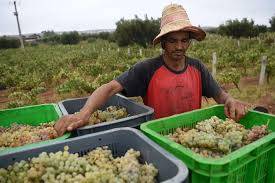 Morocco Agriculture Study Tour Tour Image 4 4