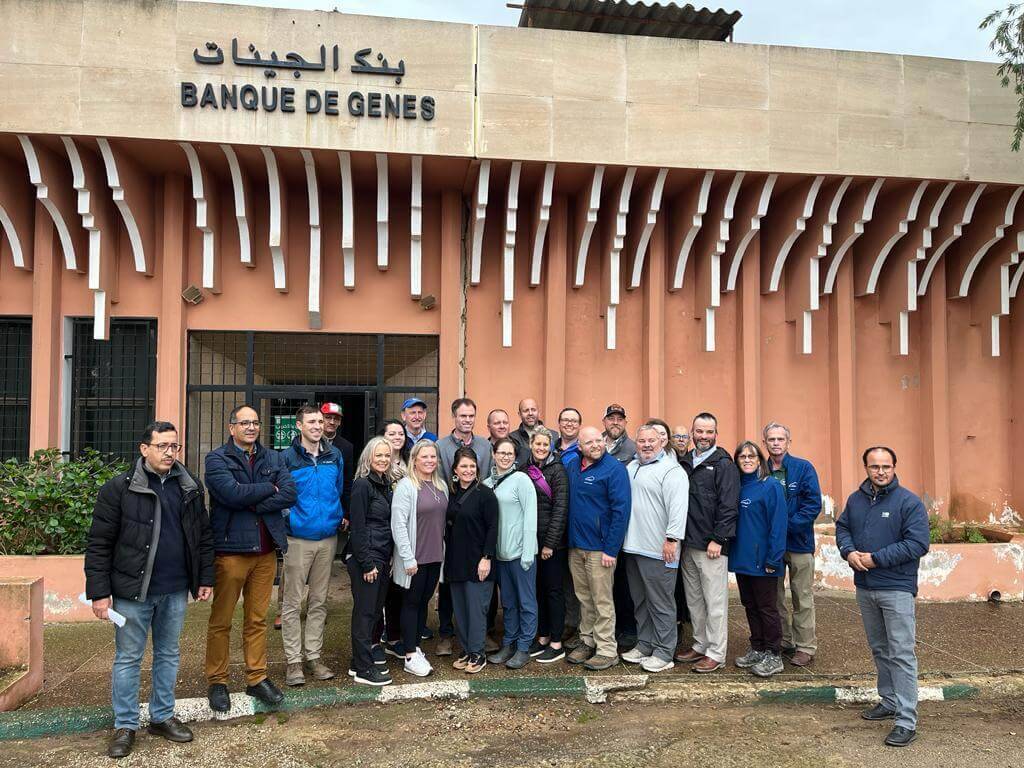 Morocco Agriculture Study Tour Tour Image 5 5