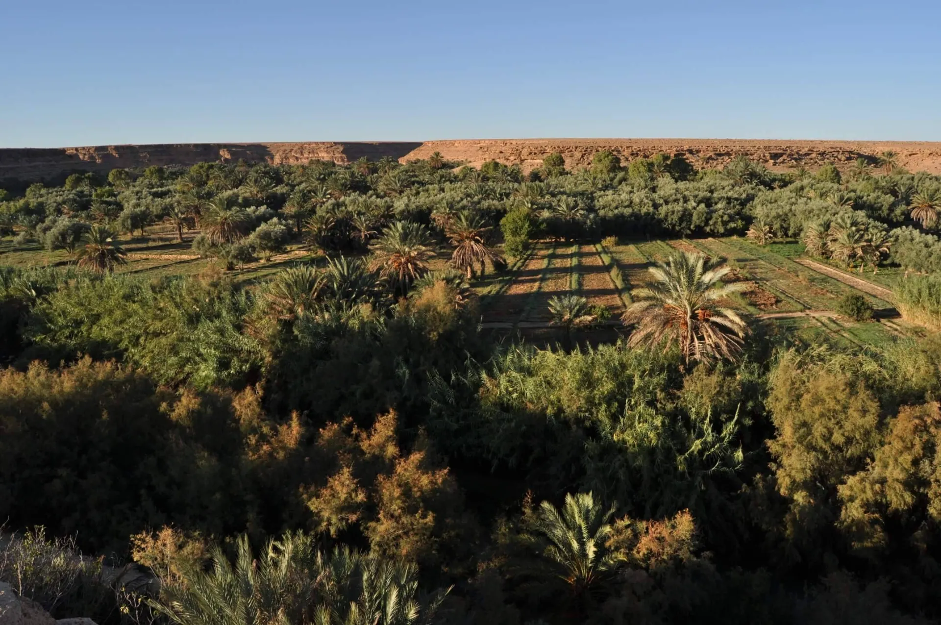 Morocco Southwest Overland Trek Tour Image 3 3