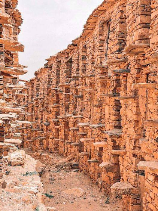 Overland Active Tour from Marrakech to Dakar Tour Image 3 3