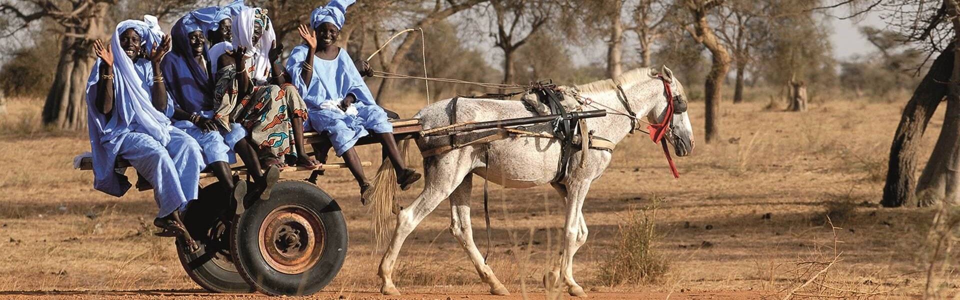 Overland Active Tour from Marrakech to Dakar Tour Image 5 5