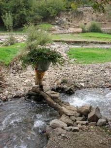 Overland Active Tour from Marrakech to Dakar Tour Image 7 7