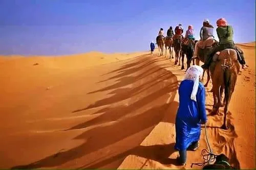 Morocco Expedition from Tangier to Dakhla Tour Image 3 3