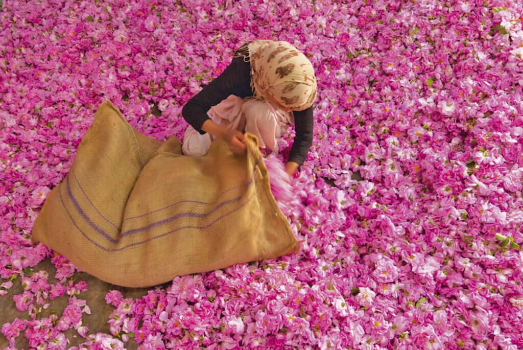 Morocco Wellness Tours Tour Image 3 3