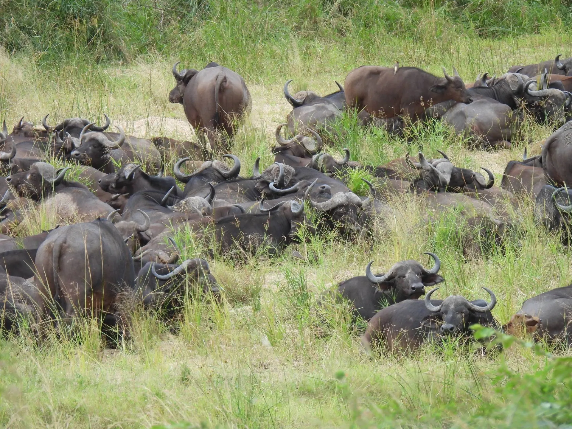 South Africa Luxury Tours Tour Image 3 3