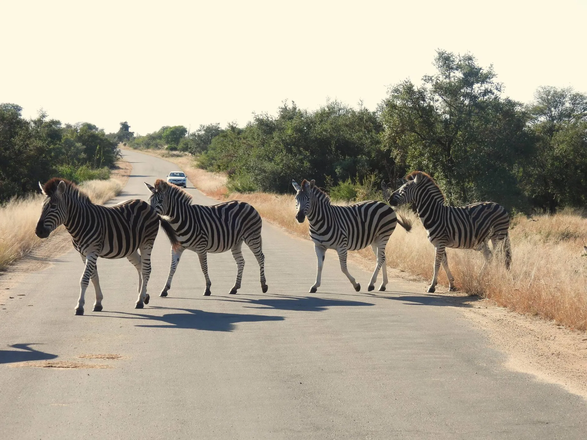 South Africa Luxury Tours Tour Image 2 2