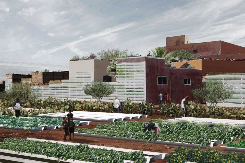 Urban Agriculture in Grand Casablanca